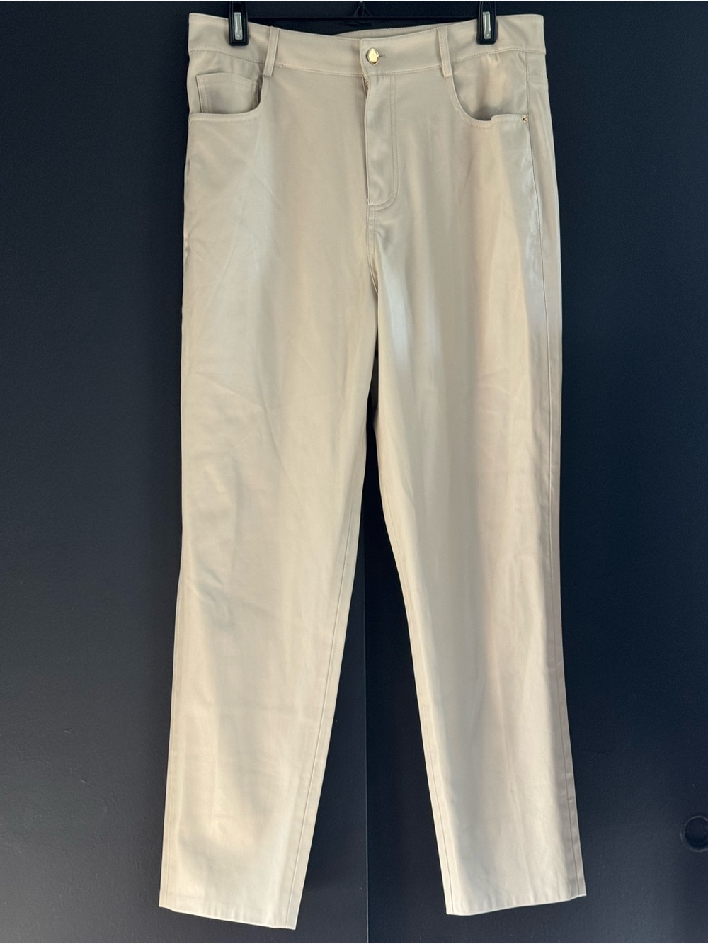 Zara Vegan Leather Pants in Cream